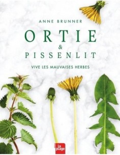 Ortie et pissenlit