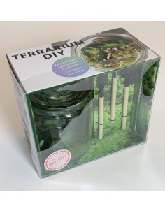 Coffret Terrarium DIY