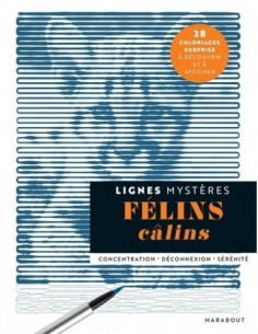 Félins câlins