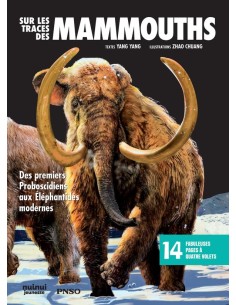 Sur les traces des Mammouths