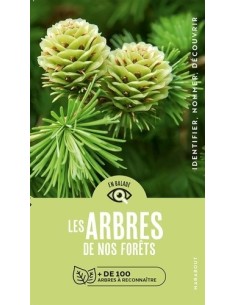 Les arbres de nos forêts