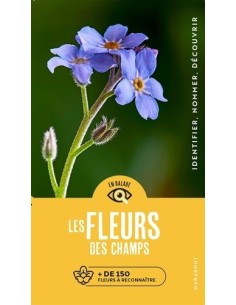 Les fleurs des champs