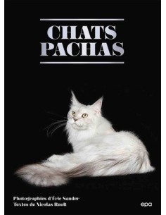 Chats Pachas