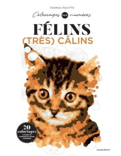 Félins (très) câlins