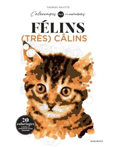 Félins (très) câlins