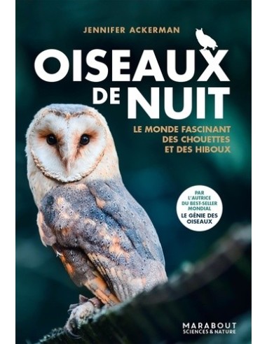 Oiseaux de nuit