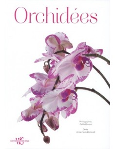 Orchidées