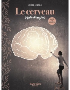 Le cerveau